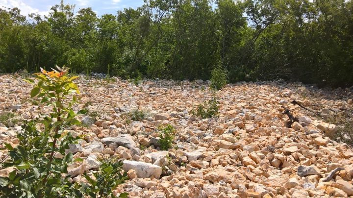Terreno In vendita - Primorsko-goranska Vrbovsko - foto 2/2