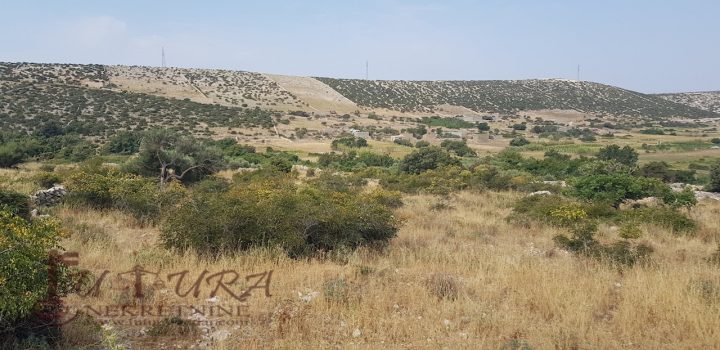 Terreno In vendita - Zadarska Pag - foto 2/2