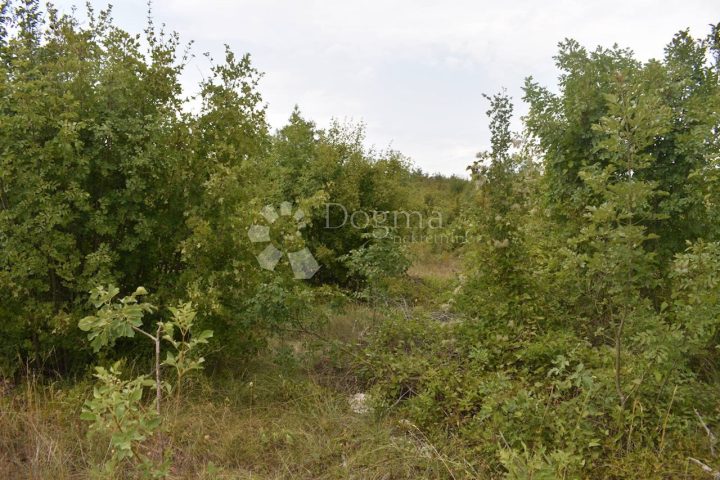 Parcela na predaj 5435 m² – Kršan