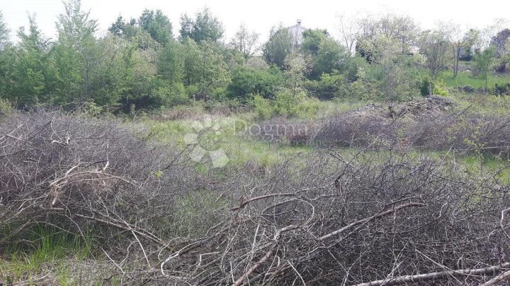 Land for sale 49997 m² – Ripenda Verbanci