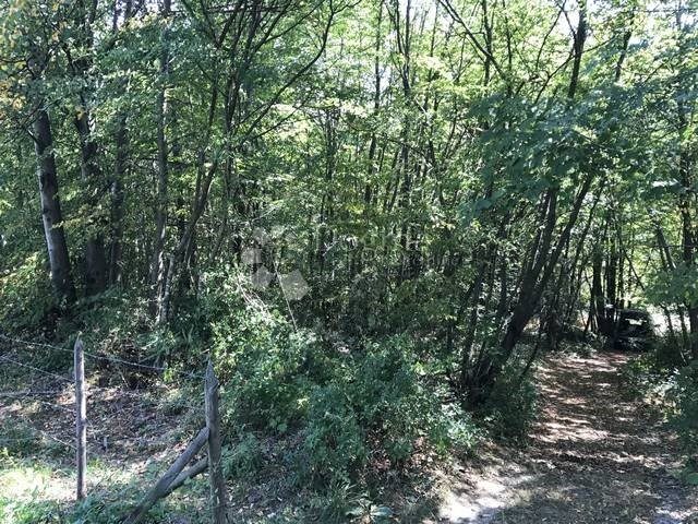 Land for sale 3091 m² – Klana