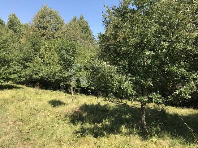 Land for sale 2419 m² – Klana