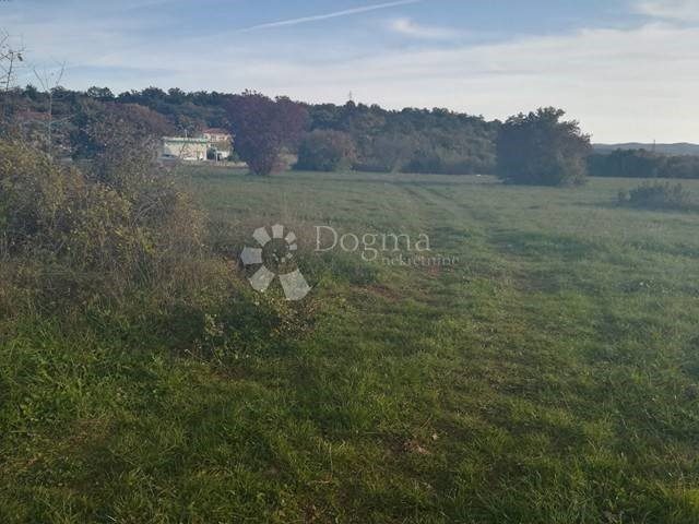 Parcela Na predaj - Istarska Sveta Nedelja - foto 5/6