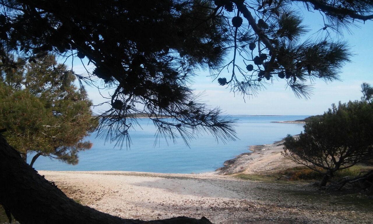 Kuća Na prodaju - ISTARSKA  MEDULIN 