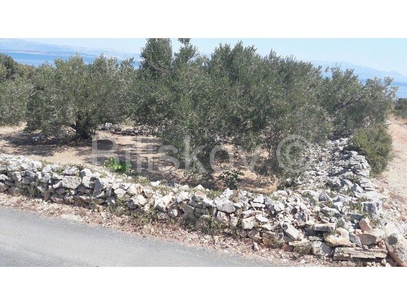 Land For sale - SPLITSKO-DALMATINSKA  ŠOLTA 