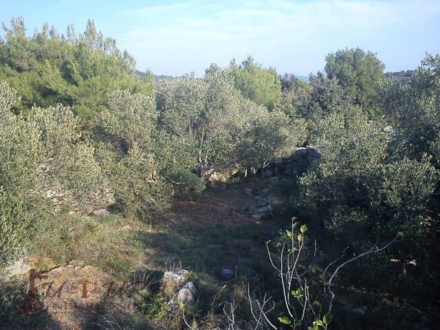 Land For sale - šibensko-kninska Murter - foto 2/8