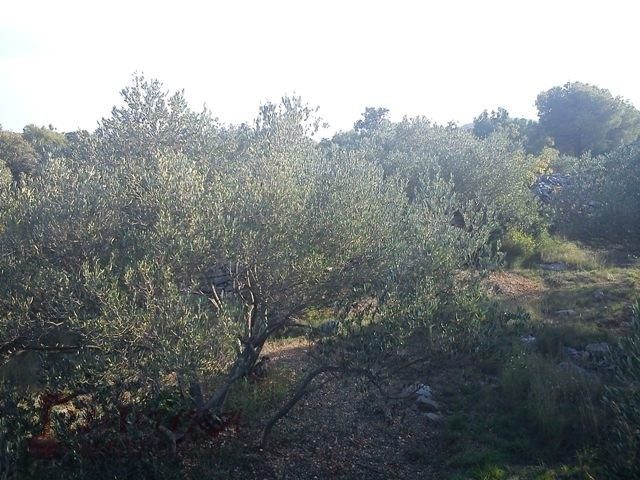 Land For sale - šibensko-kninska Murter - foto 3/8