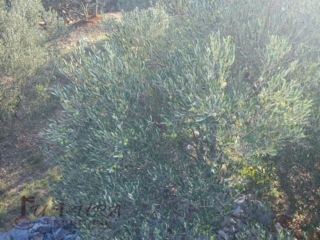 Land For sale - šibensko-kninska Murter - foto 4/8
