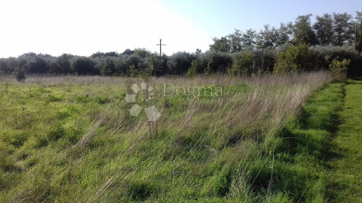 Pozemok na predaj 5364 m² – Pula