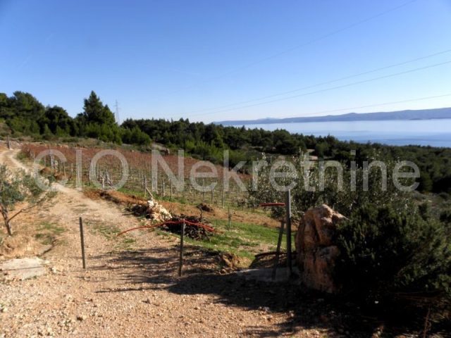 Land For sale - Splitsko-dalmatinska Brač - foto 2/10