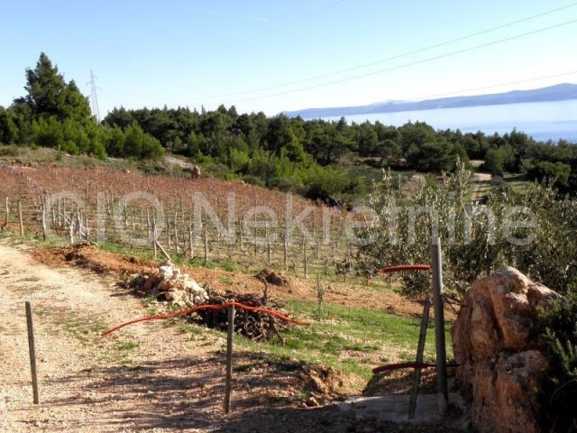 Land For sale - Splitsko-dalmatinska Brač - foto 3/10