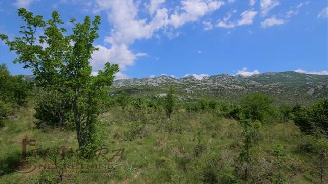 Pozemek Na prodej - ZADARSKA  STARIGRAD 