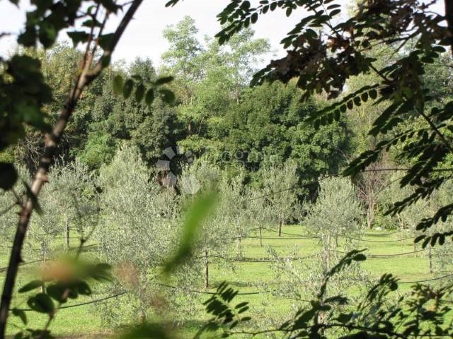 Dom Na sprzedaż - ISTARSKA  LABIN 