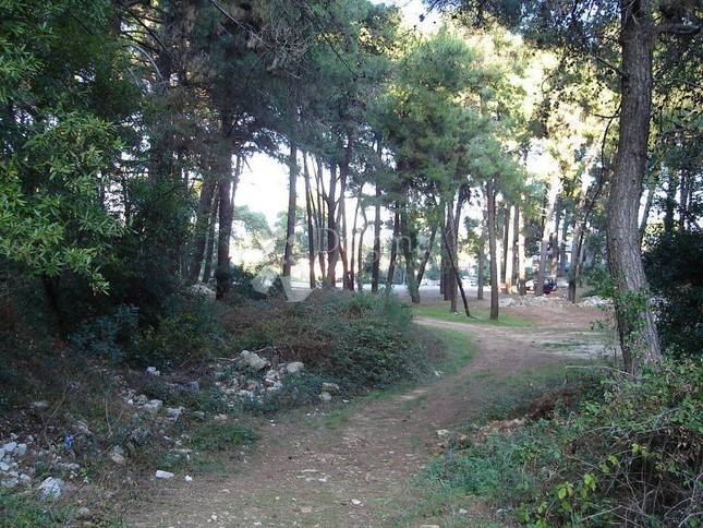 Land For sale - PRIMORSKO-GORANSKA  MALI LOŠINJ 