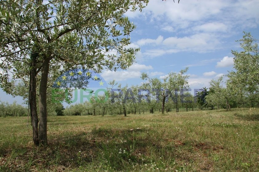 Terreno In vendita POREČ