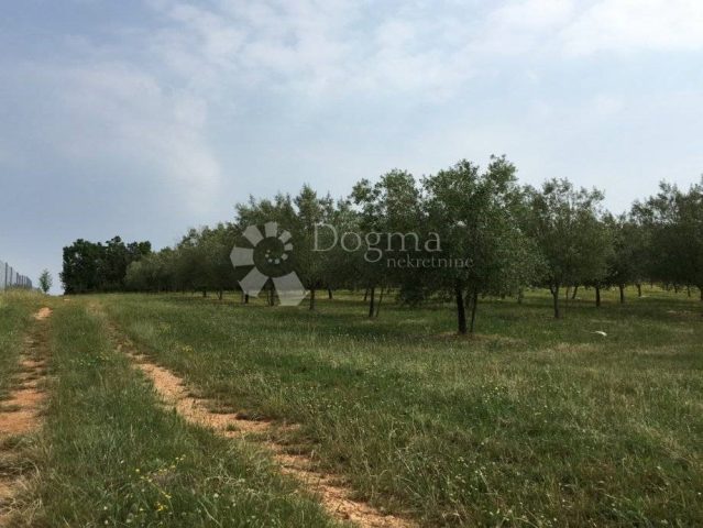 Parcela Naprodaj - Istarska Poreč - foto 5/5