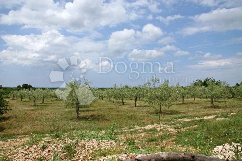 Terreno In vendita - ISTARSKA  POREČ 