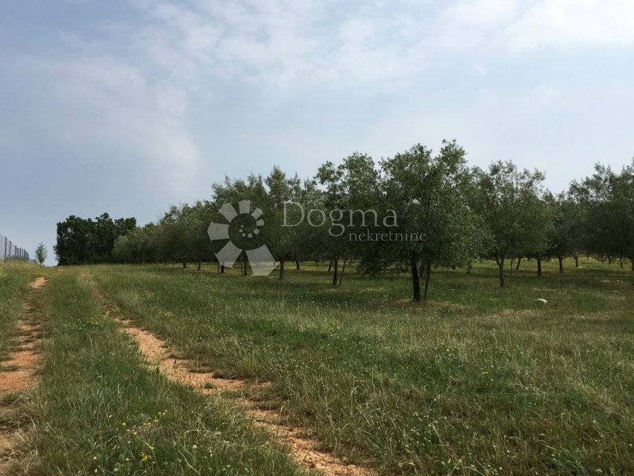 Parcela Naprodaj - ISTARSKA  Poreč