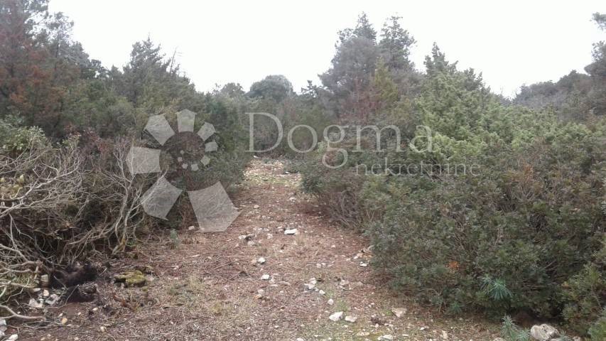 Land For sale - PRIMORSKO-GORANSKA  MALI LOŠINJ 