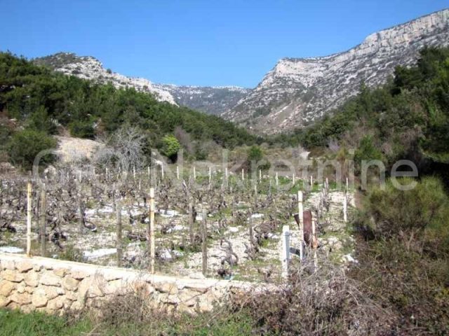 Terreno in vendita 10606 m² – Bol