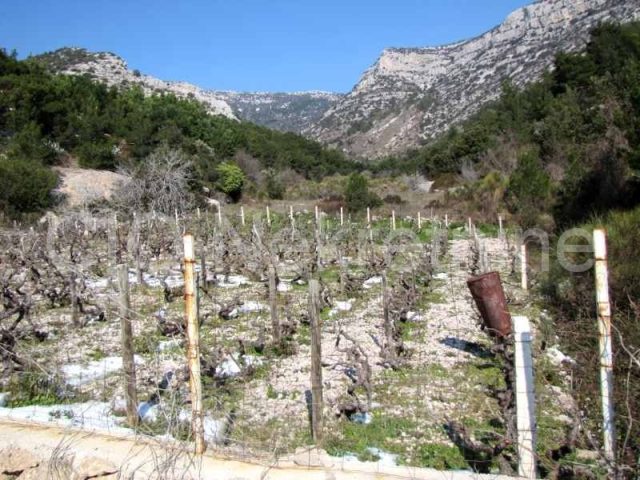 Land For sale - Splitsko-dalmatinska Brač - foto 3/5