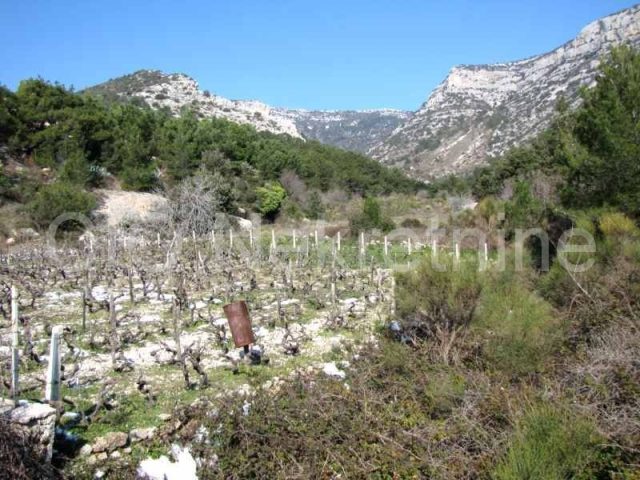 Land For sale - Splitsko-dalmatinska Brač - foto 4/5