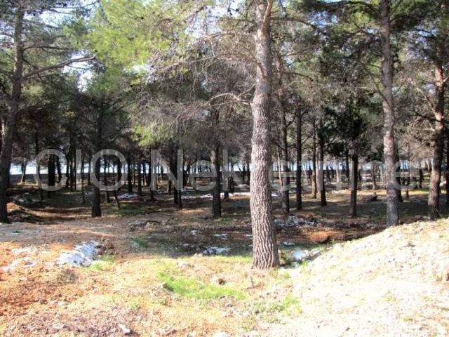 Parcela Naprodaj - Splitsko-dalmatinska Brač - foto 3/6