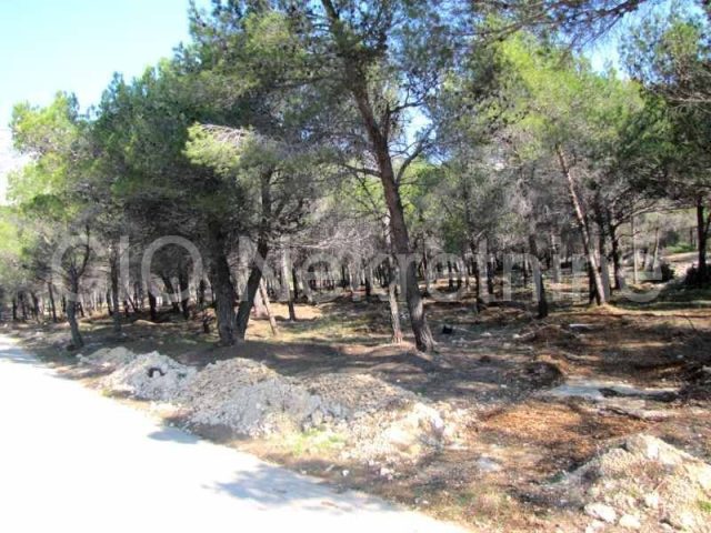 Parcela Naprodaj - Splitsko-dalmatinska Brač - foto 5/6
