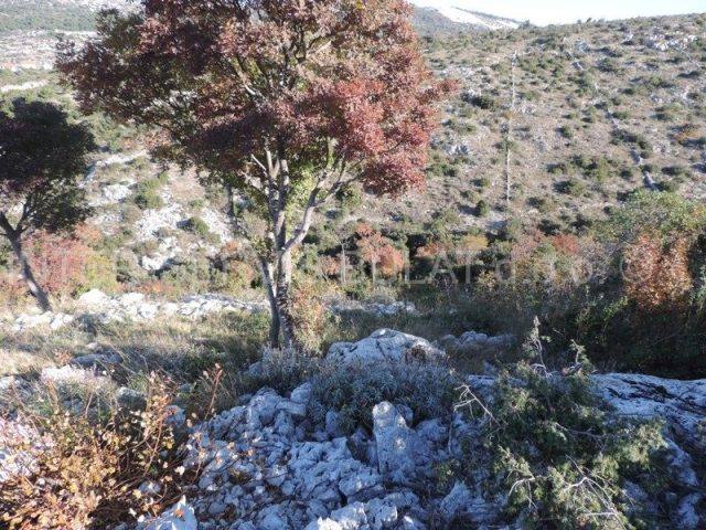 Zemljište Na prodaju - šibensko-kninska Primošten - foto 4/6