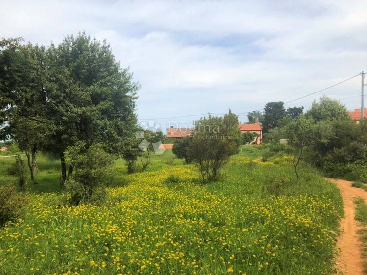 Zemljište Na prodaju - PRIMORSKO-GORANSKA  MALI LOŠINJ 