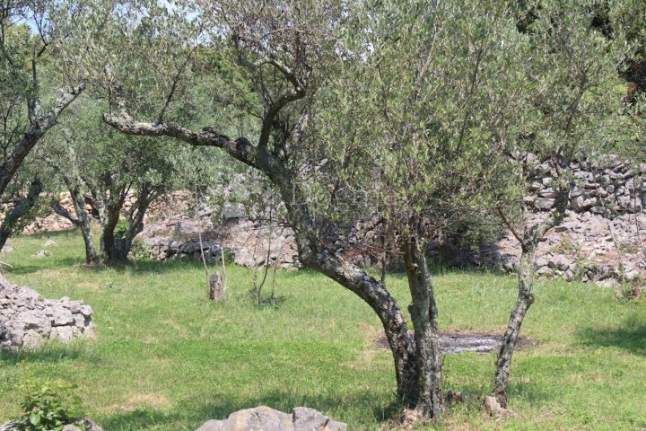 Pozemok Na predaj - Primorsko-goranska Krk - foto 2/4