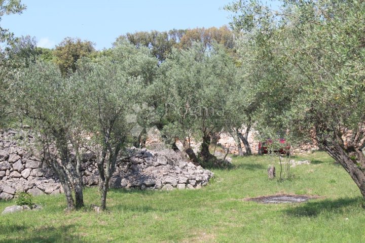 Pozemok Na predaj - Primorsko-goranska Krk - foto 3/4