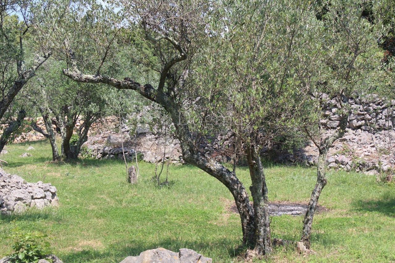 Terreno In vendita - PRIMORSKO-GORANSKA  KRK 