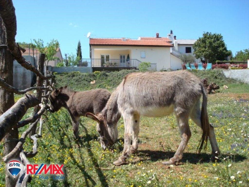 Casa In vendita - ISTARSKA  ŽMINJ 