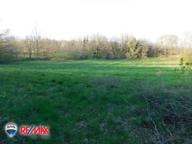 Pozemok na predaj 6017 m² – Vinež