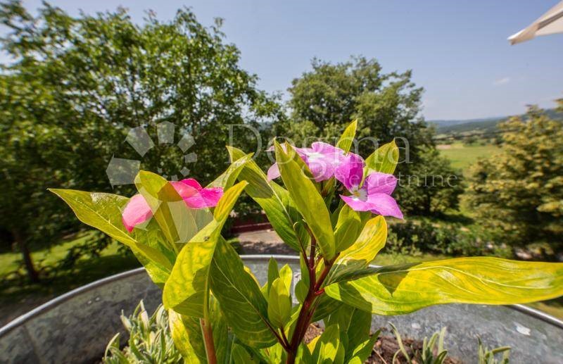 Casa In vendita - ISTARSKA  LUPOGLAV 