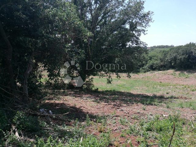 Zemljište Na prodaju - Istarska Barban - foto 2/2