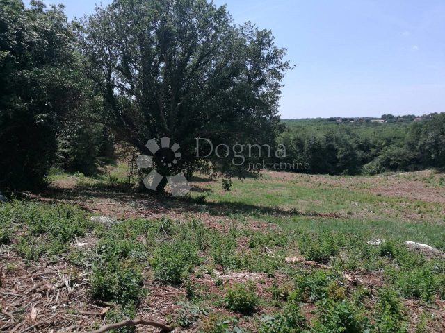 Parcela Naprodaj - Istarska Barban - foto 3/3