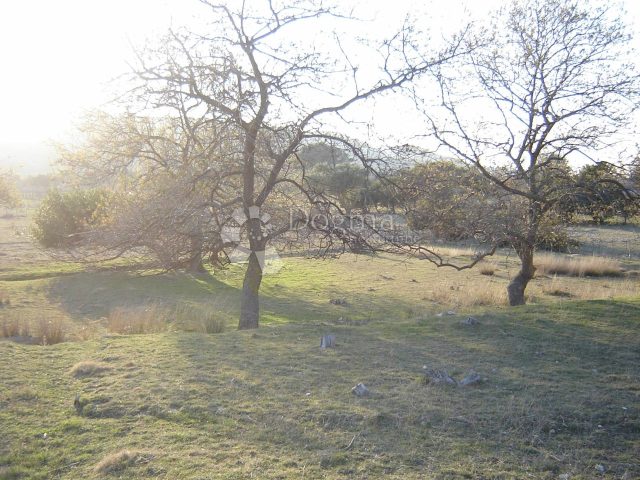 Parcela Naprodaj - Primorsko-goranska Rab - foto 5/5
