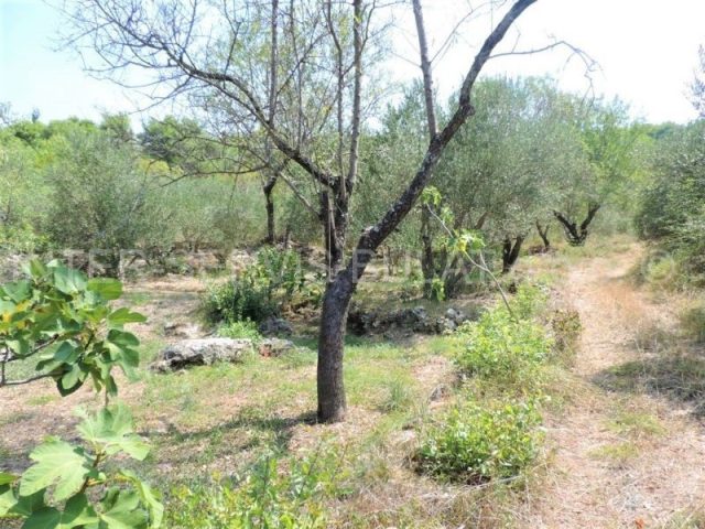 Land For sale - šibensko-kninska šibenik - foto 5/8