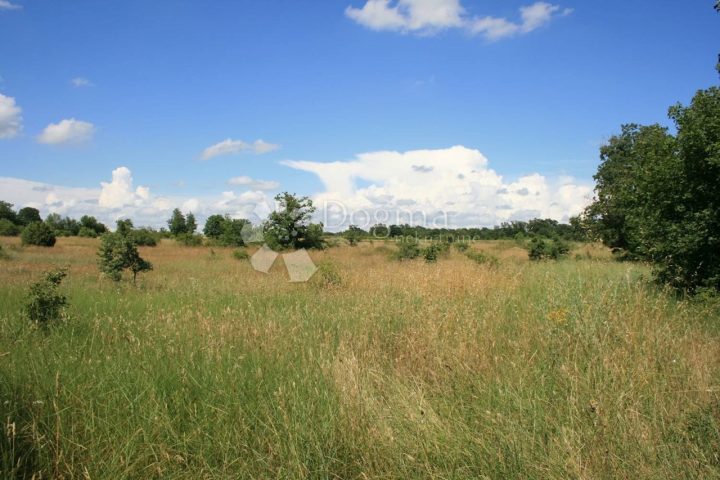Land for sale 12607 m² – Svetvinčenat