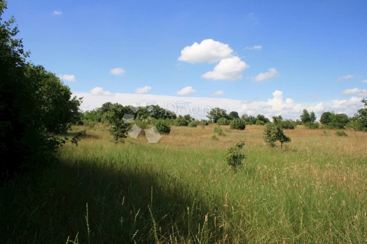 Land For sale - Istarska Svetvinčenat - foto 2/4