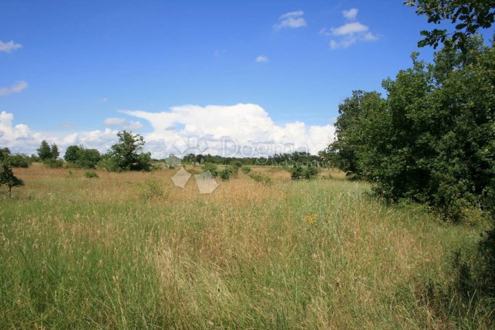 Land For sale - Istarska Svetvinčenat - foto 3/4