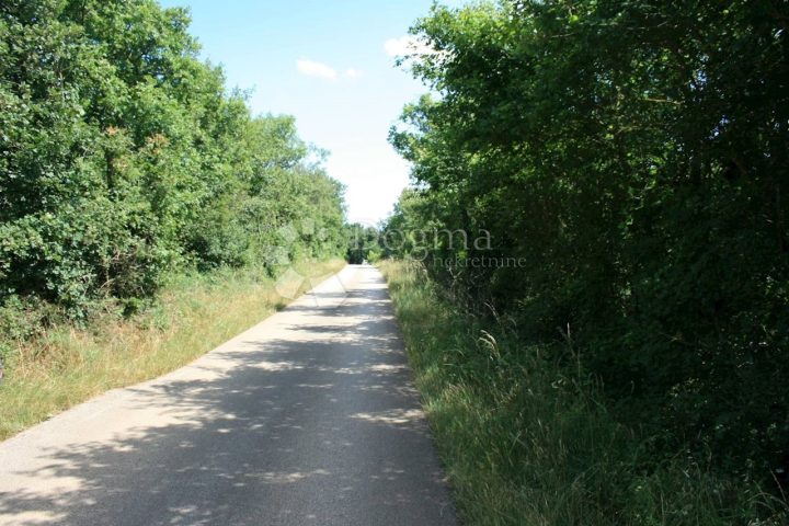 Terrain À vendre - Istarska Svetvinčenat - foto 5/5
