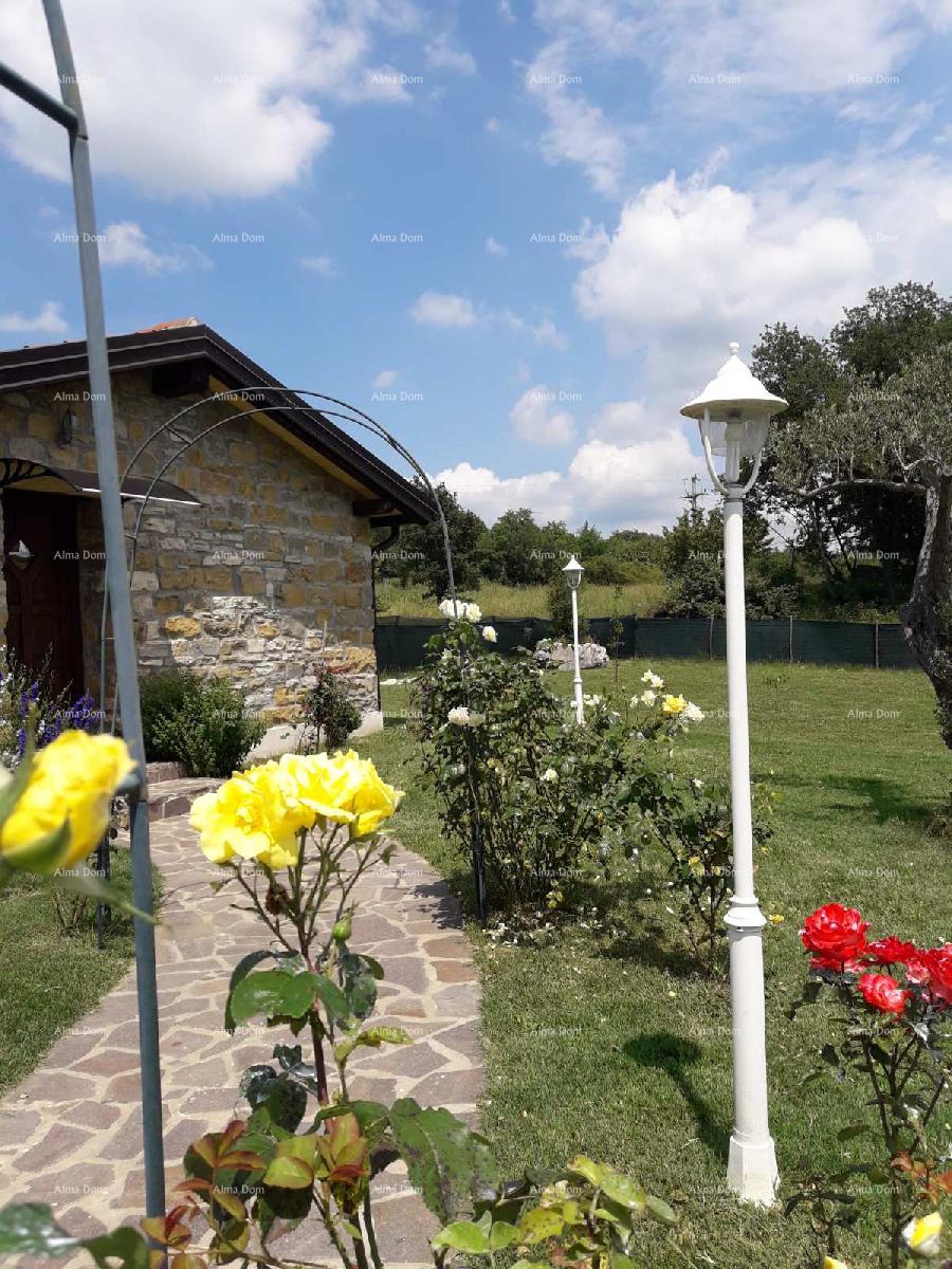 House For sale - ISTARSKA UMAG