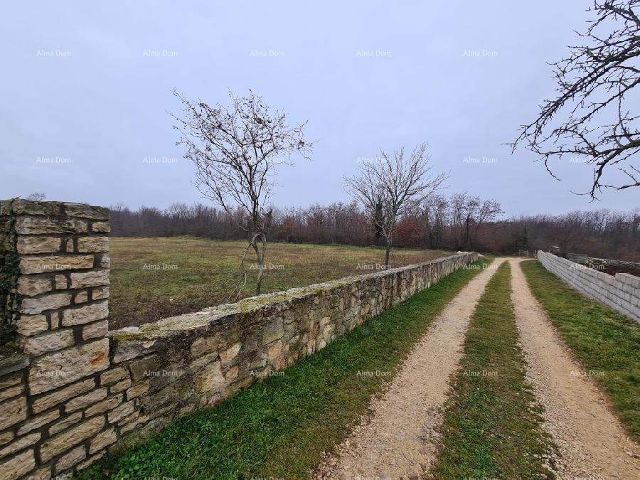 Terreno In vendita - ISTARSKA ŽMINJ