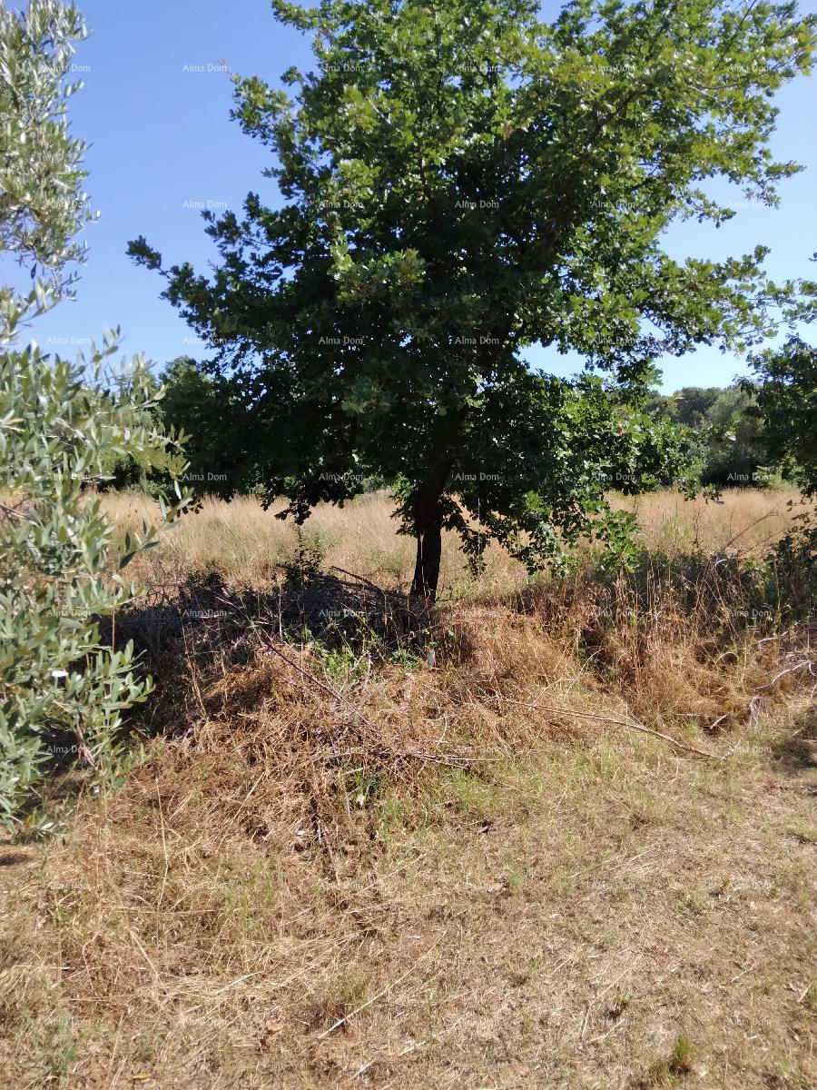 Zemljište Na prodaju - ISTARSKA PULA