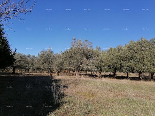 Land for sale 7673 m² – Galižana