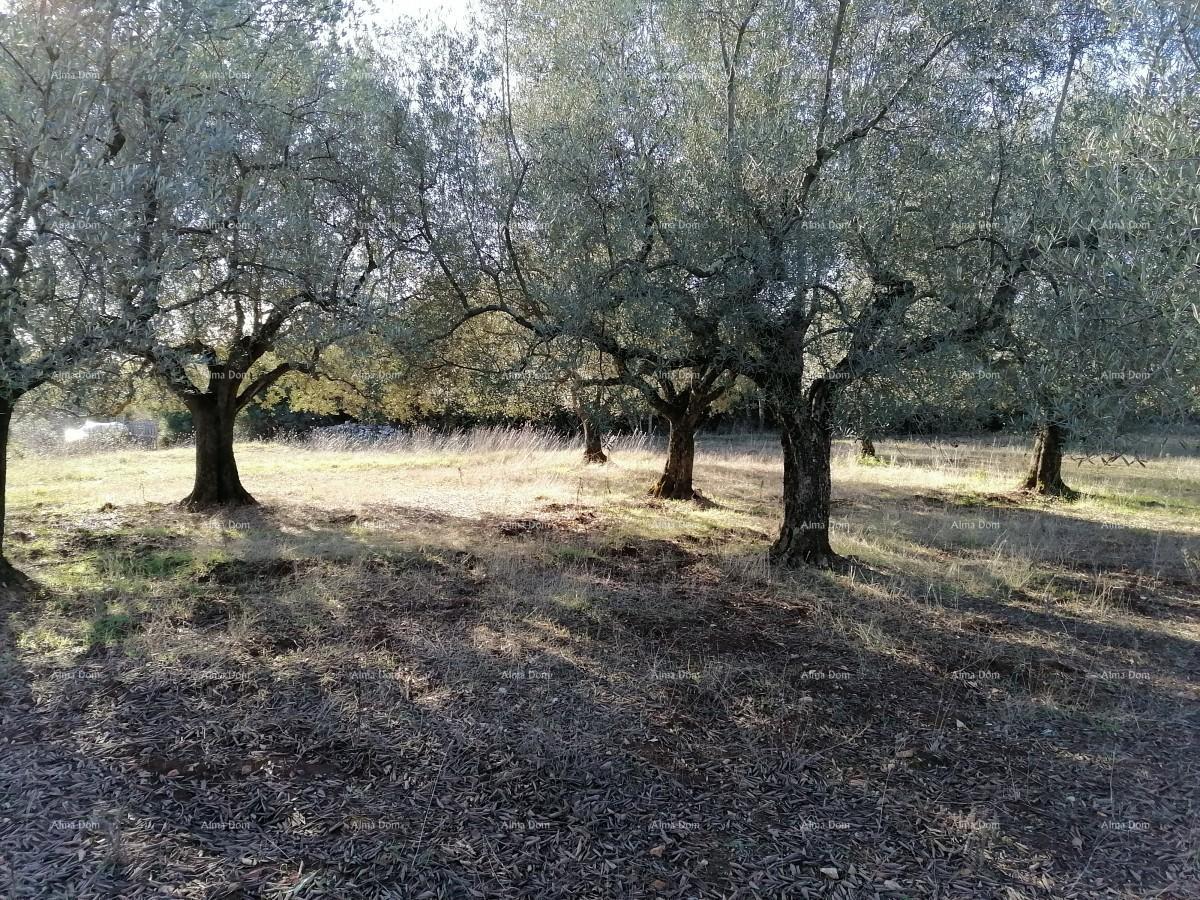 Terreno In vendita - ISTARSKA VODNJAN