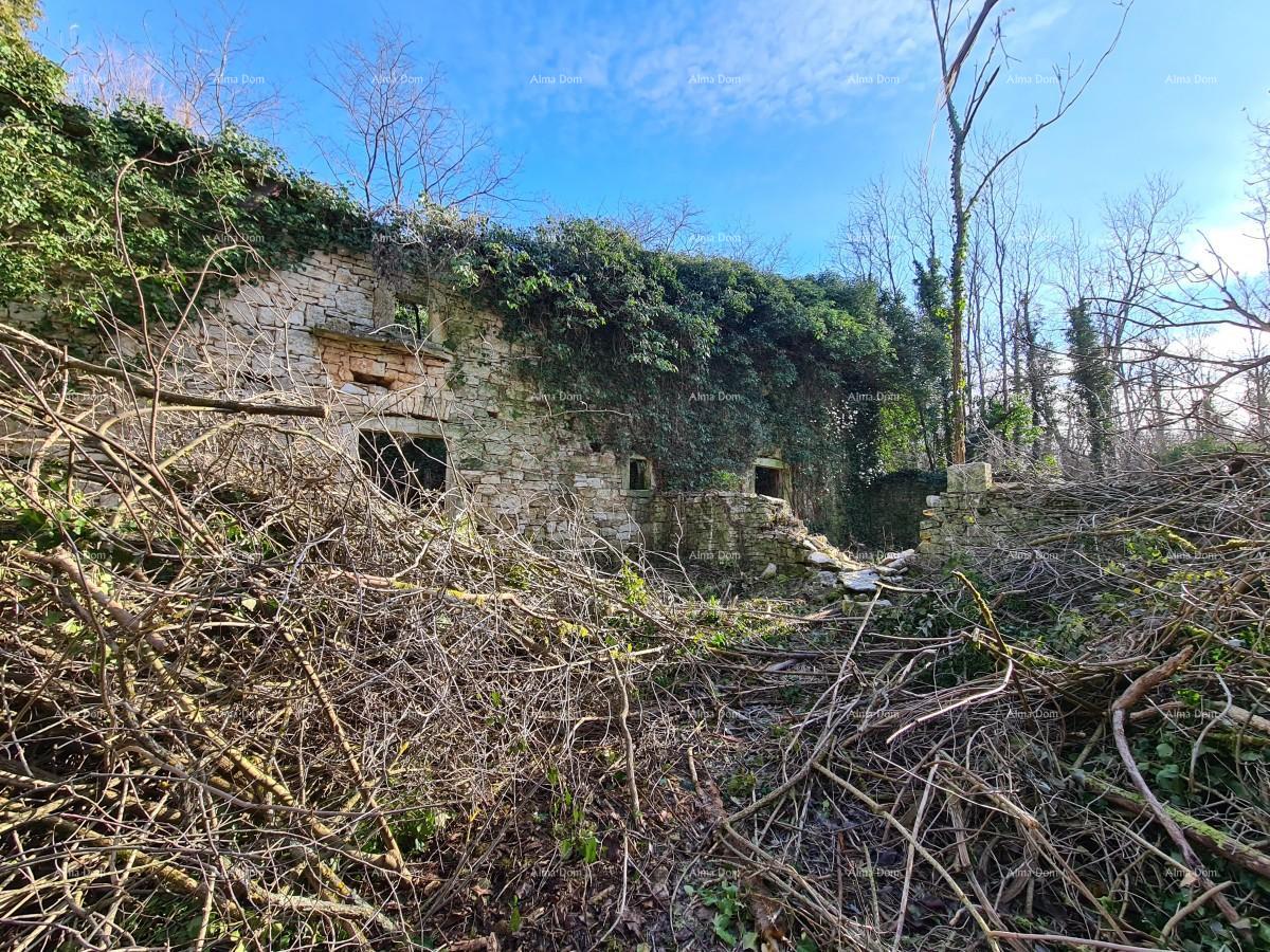 Dom Na predaj - ISTARSKA PAZIN